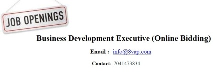 business-development-executive-online-bidding